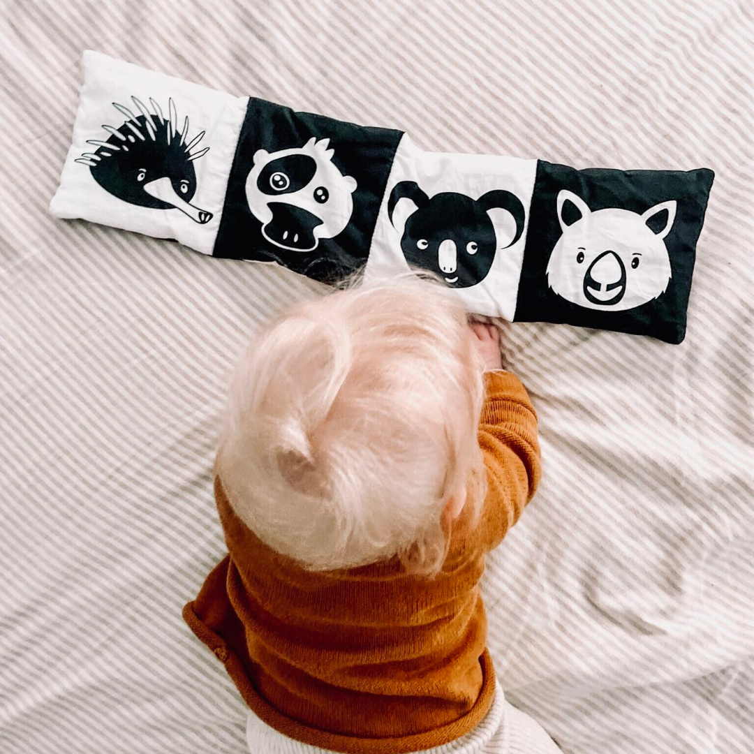 Baby's First Fold Out Book - In The Bush