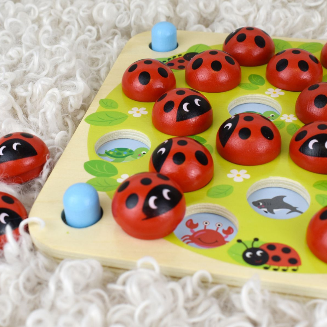 Ladybug Memory Game