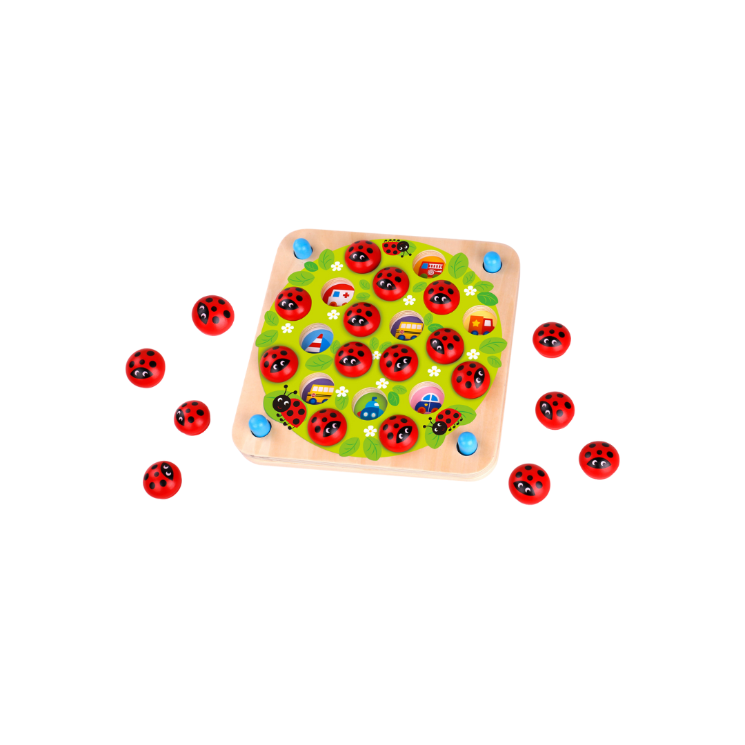 Ladybug Memory Game