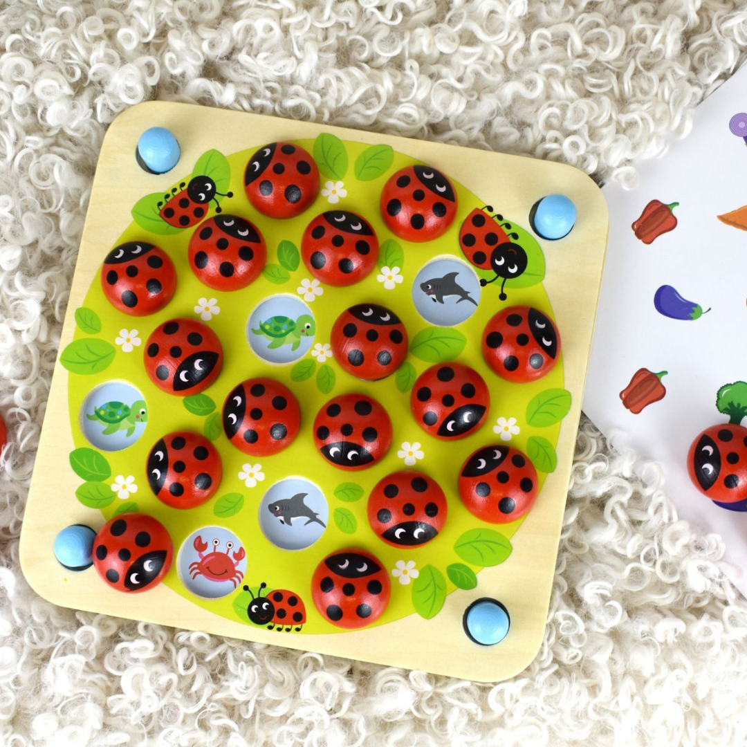 Ladybug Memory Game
