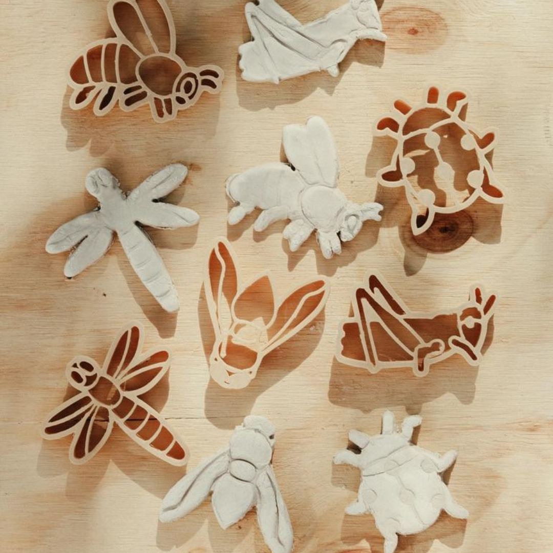 Mini Insect Eco Cutter Set