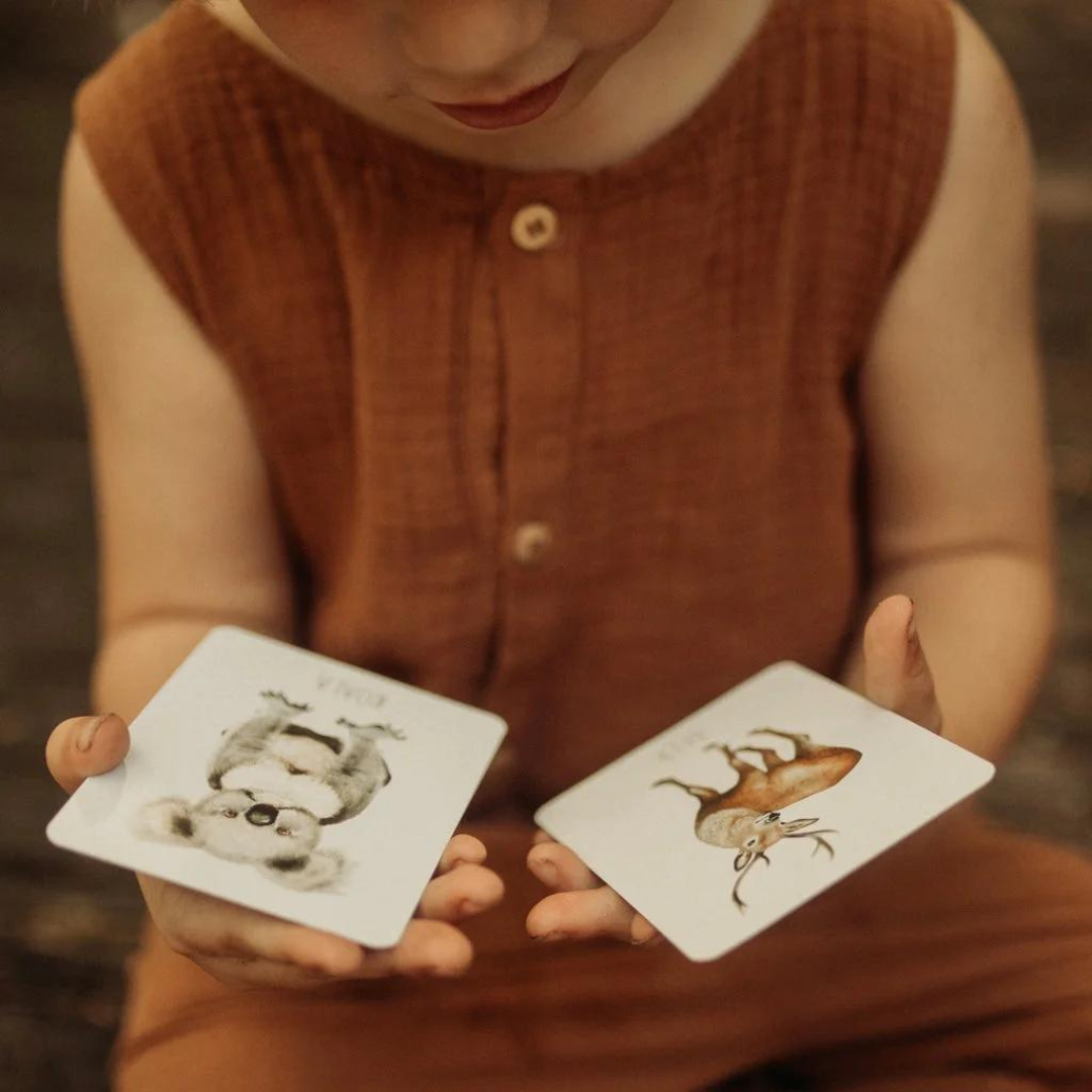 Snap & Go Fish Cards - Animals