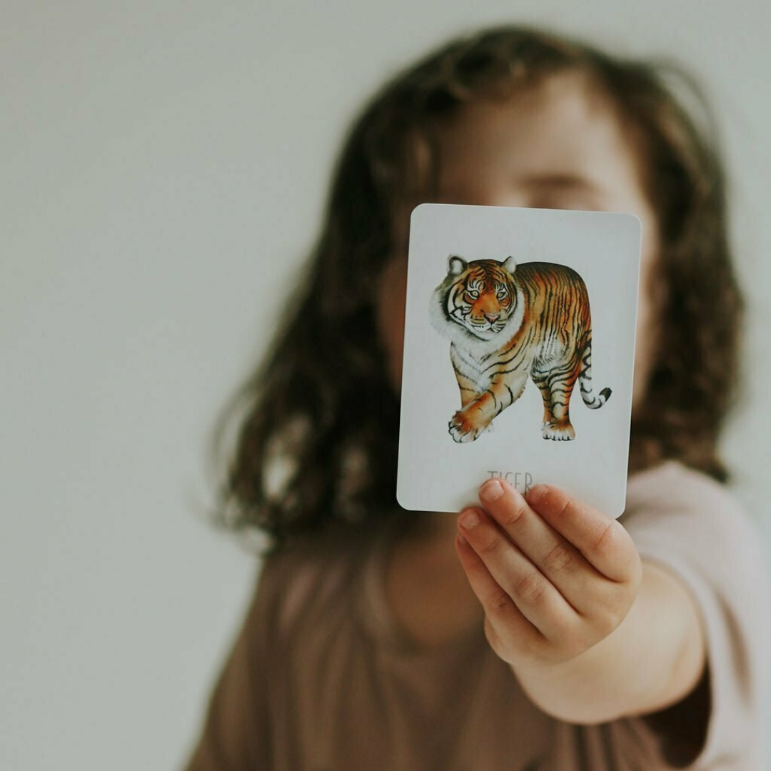 Snap & Go Fish Cards - Animals
