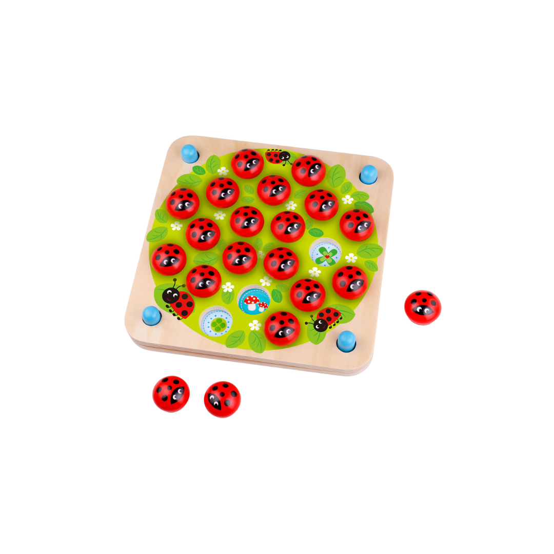 Ladybug Memory Game