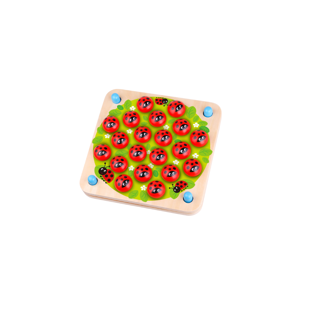 Ladybug Memory Game